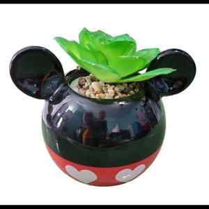 Mickey Mouse Succulent Valentines Day Walgreens Exclusive